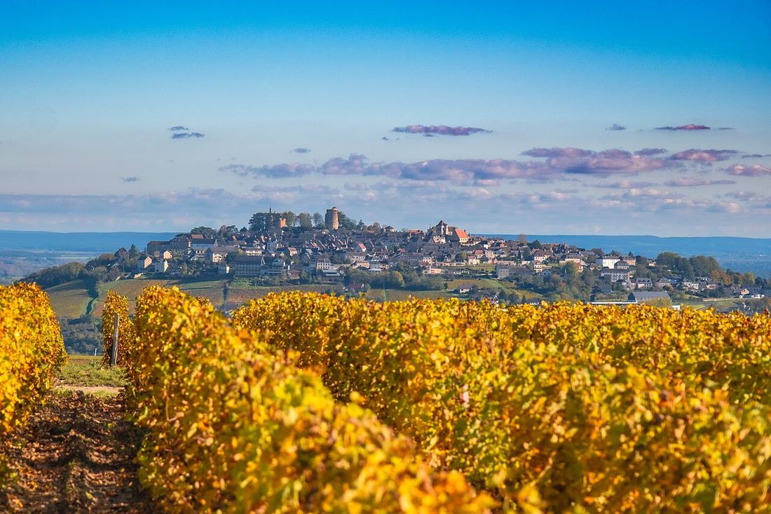 Vignoble en automne vers Sancerre